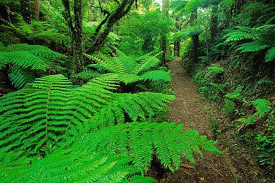 锈湖全新双人游戏《The Past Within》Steam发售特别好评